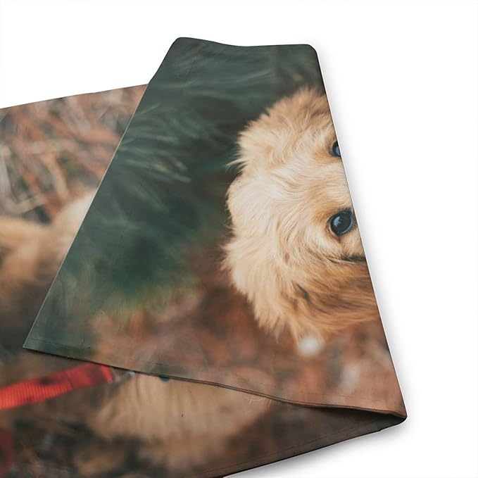 Custom Garden Flag Double Sides Personalized Garden Flags 12x18 Inch Customized Picture Logo Text Yard Flag Banner Signs for Outside Lawn Patio Garden Home Decorating Birthday Christmas Gift