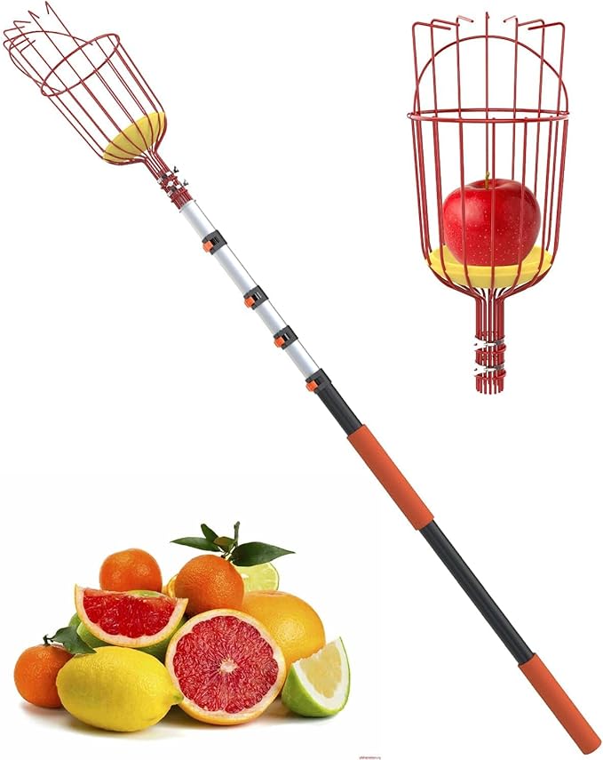AgiiMan 3 to 12 FT Fruit Picker Pole - Reach to 18 FT Fruit Picker with Telescopic Extension Pole, Lightweight and Sturdy Aluminum Telescopic Pole, Easy to Assemble Fruit Picking Basket