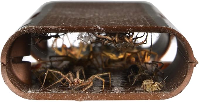 RESCUE! Spider Traps – Catches Brown Recluse, Hobo Spiders, Black Widows & Wolf Spiders - 3 Pack (9 Traps)