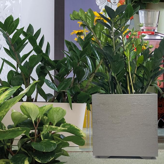 Deroma Gravity 10” Cube Planter | Light & Durable Plastic | Indoor or Outdoor Square Pot for Patio/Porch | Includes Water Reserve & Drain Plug | Trendy Planter for Plants, Flowers, Garden | Sandstone