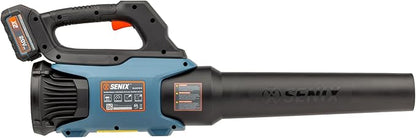 SENIX X2 20 Volt Max* 2-Piece Cordless Power Tool Combo Kit with Battery Powered 10-Inch String Trimmer and Variable Speed Leaf Blower, Includes 4.0 Ah Battery & Charger (S2K2B1-03)