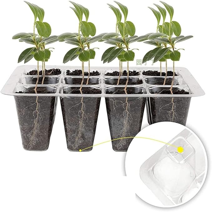 3 Pack Seed Starter Tray with Humidity Dome and Base (36 Cells Total), Plant Germination Kit for Seeds Growing Starting, Mini Seedling Propagator Small Greenhouse, Reusable Garden Supplies
