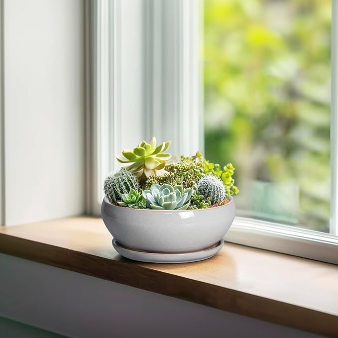 SQOWL Succulent Planters 6 Inch - Ceramic Bonsai Pots with Drainage Hole and Saucer, Shallow Planter for Indoor Plants Outdoor, Round Ceramic Pots for Plants Cactus, Room Decor, Garden Gifts, Gray