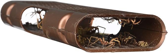 RESCUE! Spider Traps – Catches Brown Recluse, Hobo Spiders, Black Widows & Wolf Spiders - 3 Pack (9 Traps)