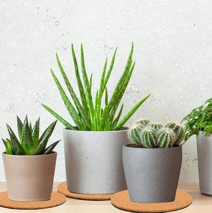 10 Pieces 3 Sizes Cork Plant Coasters, 4/6/8 Inch Cork Plant Mats, Cork Coaster for Planters, Plant Coasters for House Plants Indoors (Nude & Black)