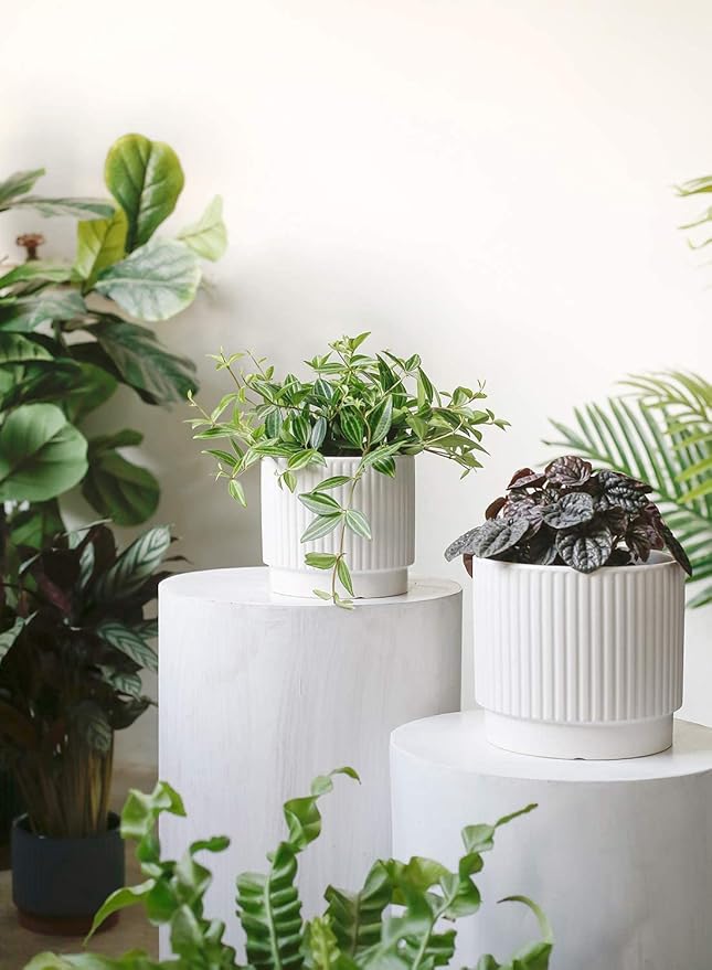 LE TAUCI Ceramic Pots for Plants, 8+6.7+5.5 Inch Plant Pots Indoor, Flower Pot with Drainage Holes, Medium Cylinder Planters for Indoor House Plants, Set of 3, White