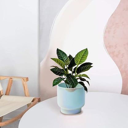 LB Blue Ceramic Planters for Indoor Plants, Succulent Plant Pots Ceramic Plant Pot, Modern Flower Pots for Living Room Office Home Decor, Round Flower Pot of 4.3 Inch(Plant Not Included)