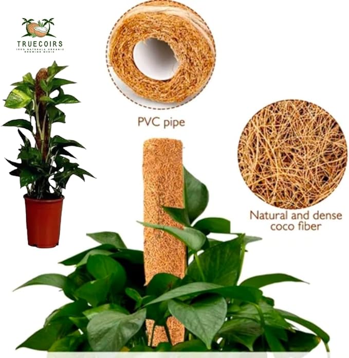 Pack of 6 Coco Coir Pole- Plants Monstera 24" Sized Poles for Climbing Plants, Plant Support Stakes for Indoor/Outdoor Potted Plants
