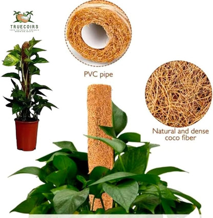 Pack of 6 Coco Coir Pole- Plants Monstera 24" Sized Poles for Climbing Plants, Plant Support Stakes for Indoor/Outdoor Potted Plants