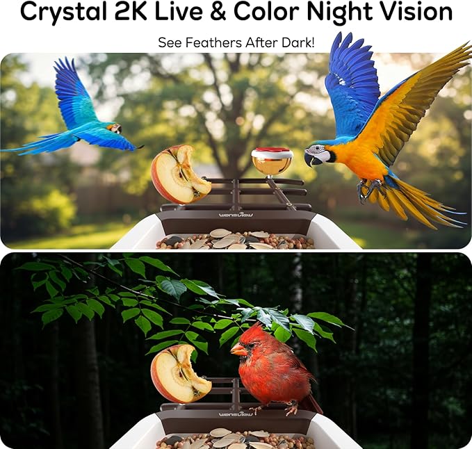 wansview Bird Feeder with Camera-Smart Bird Feeders for Outdoors Solar Powered, Birdhouse with Cam & Instant Alert, 2K Live Video, AI Identify Species, Ideal Gift for Tech Lovers, F1, Brown, 2.4G WiFi