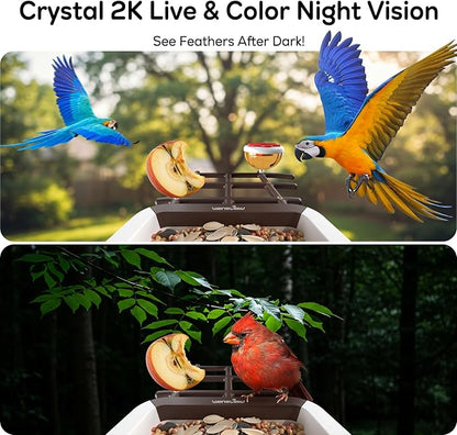 wansview Bird Feeder with Camera-Smart Bird Feeders for Outdoors Solar Powered, Birdhouse with Cam & Instant Alert, 2K Live Video, AI Identify Species, Ideal Gift for Tech Lovers, F1, Brown, 2.4G WiFi