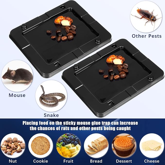 Qualirey 24 Pack Mouse Insect Glue Traps Bulk Strong Sticky Mouse Traps Large Baited Glue Trays for Mice Snakes Indoor Rodent Killer Plastic Sticky Non Toxic Killer for Home Indoor Outdoor