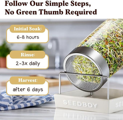Seedboy Organic Non-GMO Sprouting Seeds, Longevity Blend – USA Grown Microgreens Mix with Broccoli, Red Kale, Black Kale, Alfalfa - 8 oz Bag Makes 6 Quarts / 20 Servings (Longevity Blend)