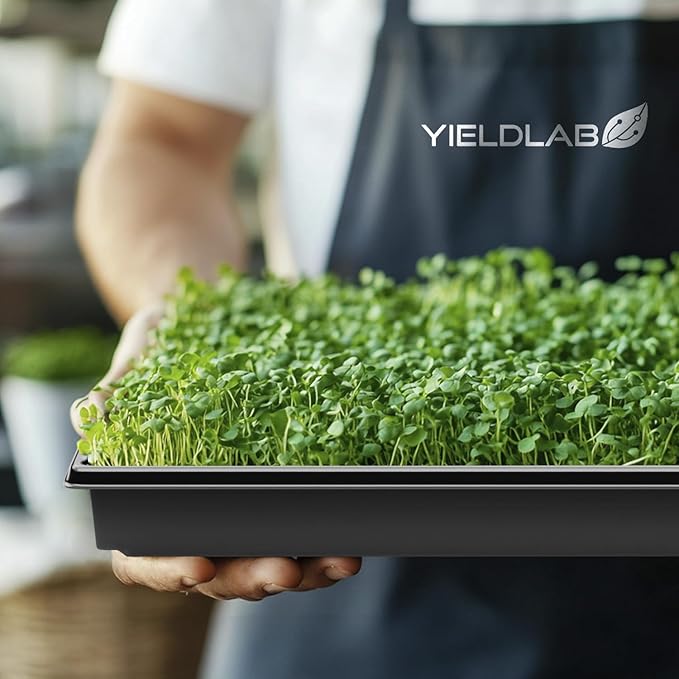 10x20 Inch Black Plastic 50 Pack Plant Propagation Tray – Growing Trays for Garden, Planting, Seedling, Soil & Hydroponic Horticulture - Microgreen Trays Grow Plants - No Drain Holes