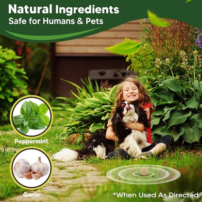 Mole Repellent Outdoor, Gopher Repellents, Vole Repellent for Lawn, Natural Groundhog Repellent, Safe for People & Pets, Mole Repellent for Lawn and Garden, 3 Months Protection -10P