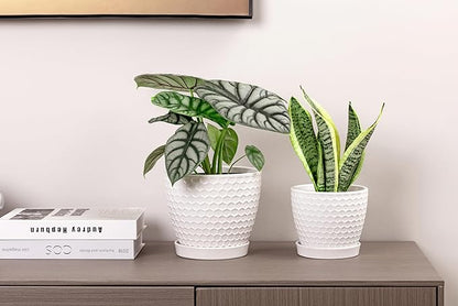 Docrin Ceramic Plant Pots Indoor, 6.6 + 5.5 Inch Flower Pots with Drainage Holes and Saucer for Plants, Set of 2, Milky White Honeycomb