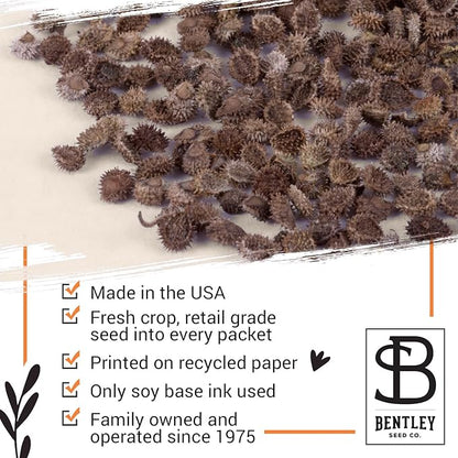 Bentley Remembrance Poppy Seeds - The Ones Who Love Us Never Really Leave Us - Non-GMO Memorial Funeral Keepsake Favor Packets for Planting & Growing Plants in Memory
