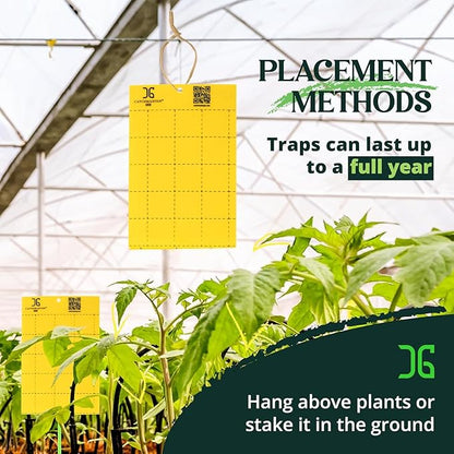 Catchmaster GRO Yellow Large Double Sided Sticky Traps 50PK, Adhesive Bug & Fruit Fly Trap, Pest Control for Home, Farm, Garden, Hydroponics & Greenhouse, Protect Live Plants Indoor & Outdoor