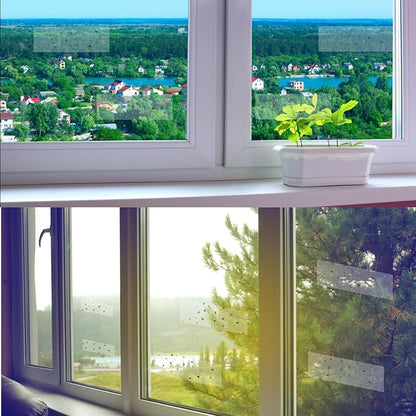 Mosqueda Window Fly Trap Indoor 30 Pack Sticky Fly Traps for Indoors, Fly Catchers for Inside Home, Waterproof & No Harm Adhesive Sticky Paper Trap for Mosquitos Bugs Housefy Fruit Fly Flying Gnats