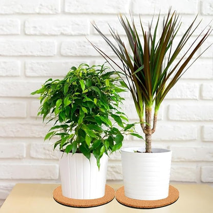 10 Pieces 4 Sizes Cork Plant Coasters, 4/6/8/10 Inch Cork Plant Mats, Plant Coasters for House Plants Indoors (Nude & Black)