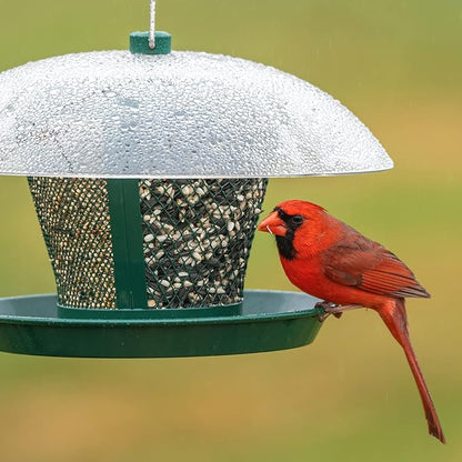 Kingsyard Bird Feeder for Outside, Dual-Use Metal Mesh Wild Bird Feeder with Weatherproof Dome Dual, 2.5 lbs Seed Capacity for Finch Cardinal