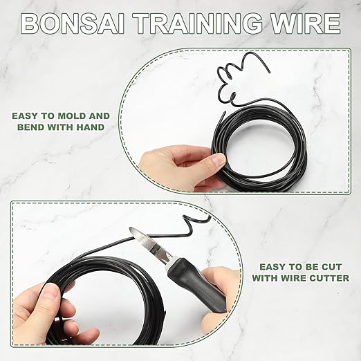 Bonsai Training Wire, 2mm x 16.4 ft Anodized Aluminum Floral Plant Training Wire Bendable Metal Stems Accessories for Gardening Branch Fixing Crafts (Black)
