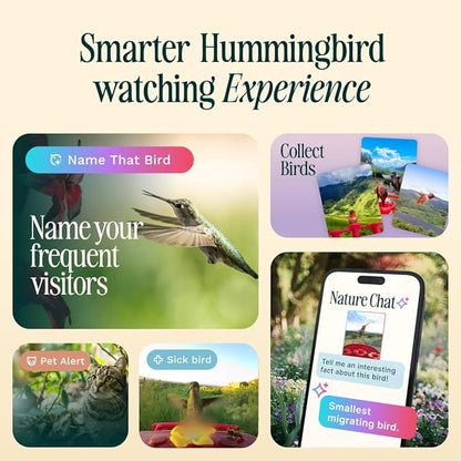 Birdbuddy Smart Solar Pro Hummingbird Feeder with Camera - AI Bird Identification, 2K Video, 5MP Photos, Outdoor Hanging, Gift for Bird Watching