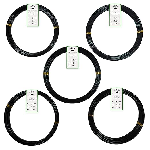 Anodized Aluminum Bonsai Training Wire 5-Size Starter Set with Canvas Bag - 1.0mm, 1.5mm, 2.0mm, 2.5mm, 3.0mm (147 feet total) - Choose Your Color (5 Sizes, Black)