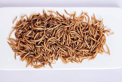 kimoe Bulk Dried Mealworms 10LB 100% Natural Non-GMO Dried Mealworms -High-Protein for Birds, Chicken，Ducks