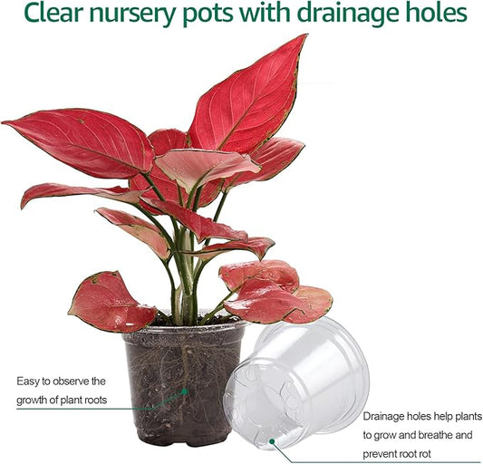 30 Packs 4 Inch Reinforced Clear Nursery Pots with Humidity Dome, Transparent Variety Pack Plastic Plant Pot Seedling Planter Seed Starter Flower