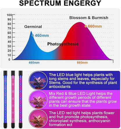 LED Grow Lights for Indoor Plants - 20 LED Full Spectrum Plant Lights, 3 Switch Modes, 3/9/12H Timer, 9 Dimmable Brightness Growth Lamp for Succulent, Vegetables