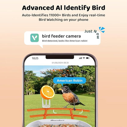 Smart Bird Feeder with Camera - 2K HD Live View & Auto Capture, AI Bird Identification, Solar Powered with 64GB SD Card, Real-Time Alerts, 5 DIY Accessories for Birds Lovers