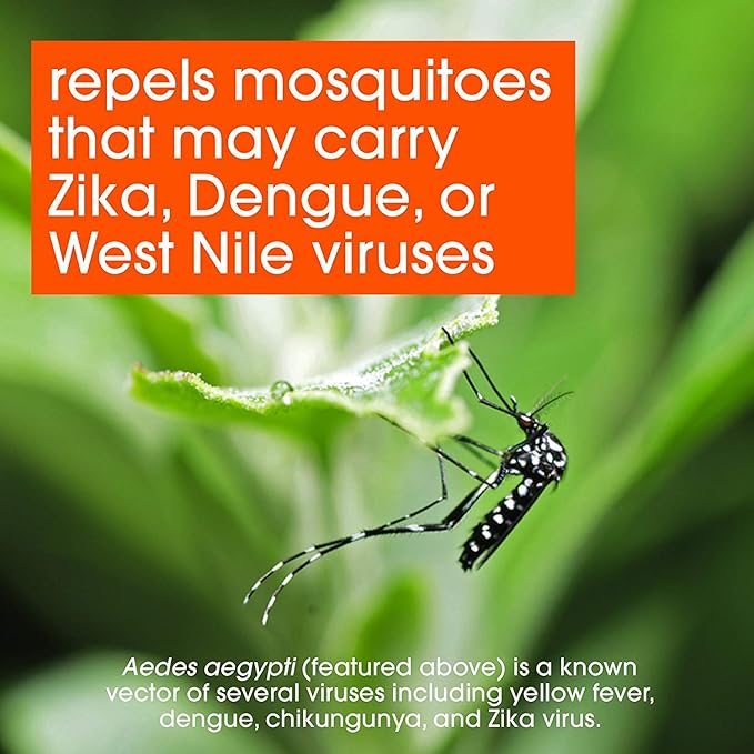 OFF! Deep Woods Insect Spray VIII Dry 4 Ounce (Pack of 12)