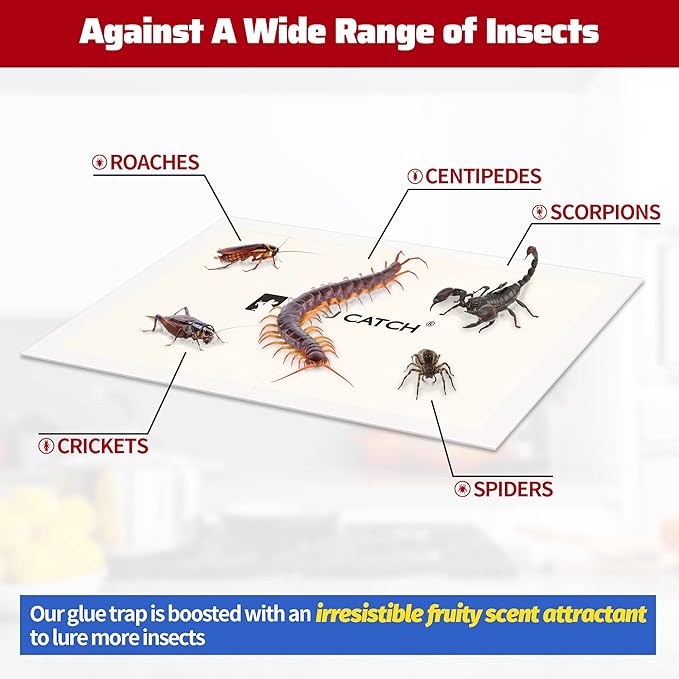 LULUCATCH Cricket & Insect Glue Traps 24 Pack, Adhesive Bug Catcher, Pre-Baited Spider Scorpion Trap, Non-Toxic Glue Boards Indoor for Home Catching Bugs,Small Mice & Rodents, Pet Safe Pest Control