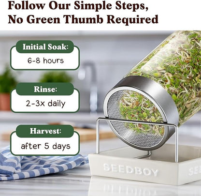 Seedboy Organic Non-GMO Sprouting Seeds, Fresh Salad Blend – USA Grown Microgreens Mix with Alfalfa, Broccoli, Radish, Mung Bean & Lentil – 8 oz Bag Makes 8 Quarts / 24 Servings (Salad Blend)