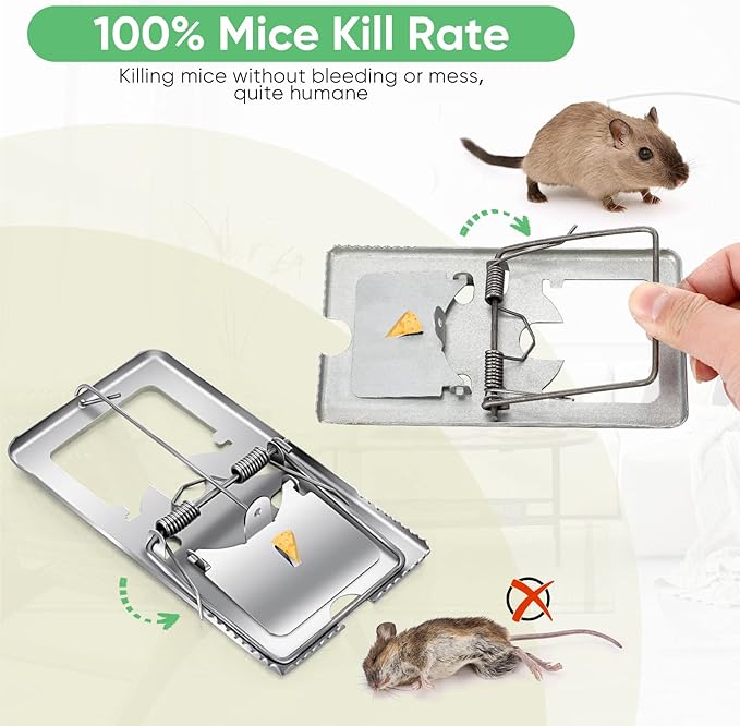 Qualirey 24 Pcs Classic Metal Rat Traps Reusable Mouse Trap Humane Effective Snap Rat Killer That Work for Indoor Outdoor Mice Voles and Small Rodents Control(Silver)