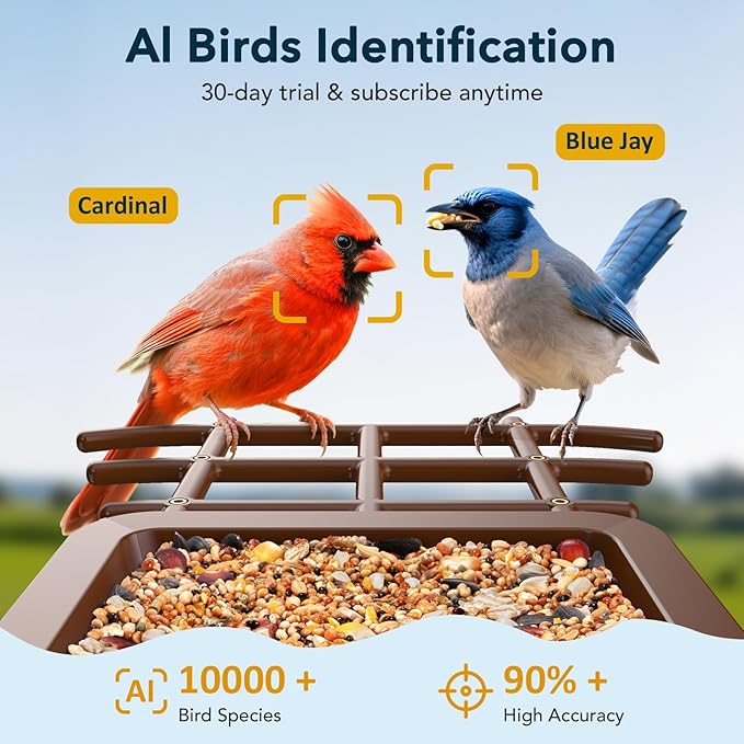 PeckCam® Bird Feeder with Camera Solar Powered, AI Identify & Auto Capture, 2K HD Live Video Smart Bird Feeder Camera Instant Notifications in Backyard, Gift for Bird Lovers