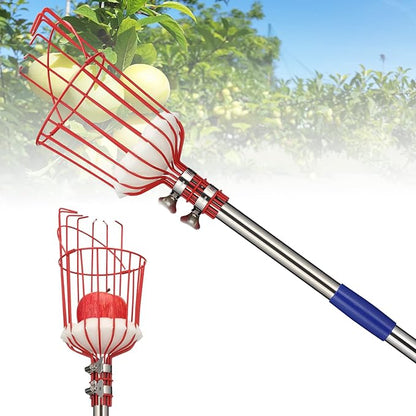 BsBsBest Fruit Picker Pole with Basket, Telescoping Fruit Picker Tool with Long Handle, 35-65 Inch Adjustable Apple Avocado Orange Picker, Stainless Steel Fruits Catcher Tree Picker