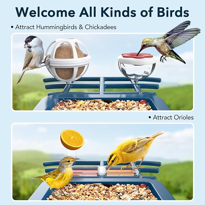 PeckCam® Bird Feeder with Camera Solar Powered, AI Identify & Auto Capture, 2K HD Live Video Smart Bird Feeder Camera Instant Notifications in Backyard, Gift for Bird Lovers