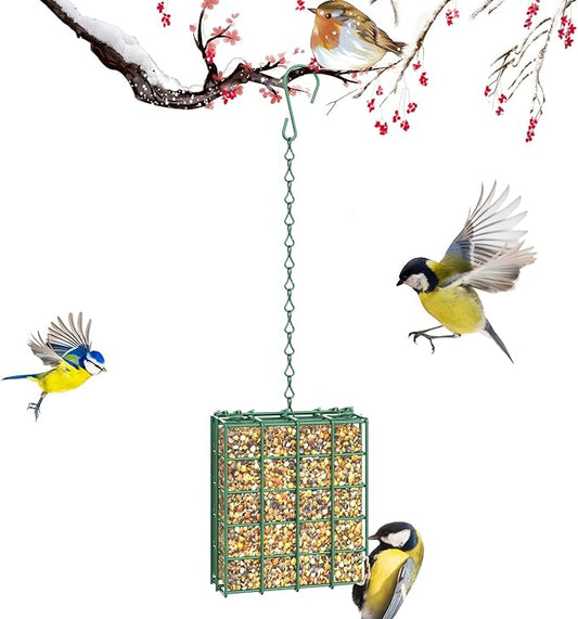 FLINTER Bird Feeder for Outdoors, Suet Feeder Hanging Bird Feeder, Hanging for Garden Yard Outside - Single Suet Cake Feeders fo Attracting Birds, Green