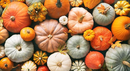 Spookie Pumpkin Seeds - Heirloom
