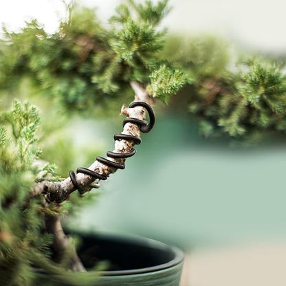 Black Bonsai Training Wire Aluminum 8mm Diameter – Anodized Aluminium Roll for Tree Branch Fixing, Plant Shape Sculpting, Bendable Solid Accessories for Floral Stems, Crafting Garden & Landscape 500g