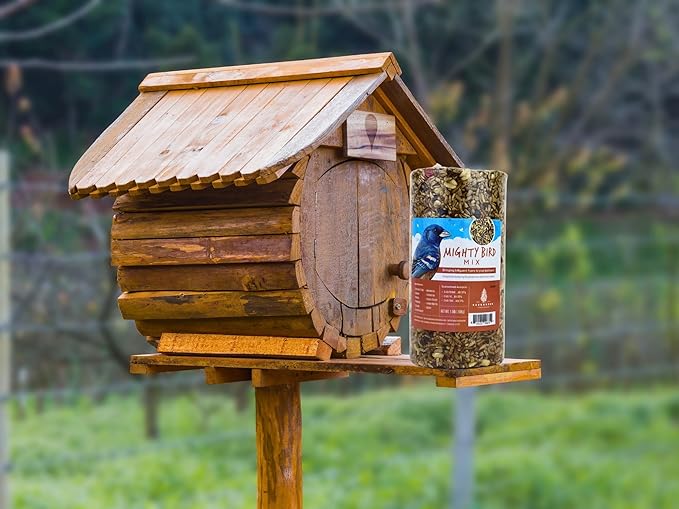 Birdseed Cylinders with Hole - Bird Seed for Outside Wild Birds (Small Cylinder, Mighty Bird Mix 2pc)