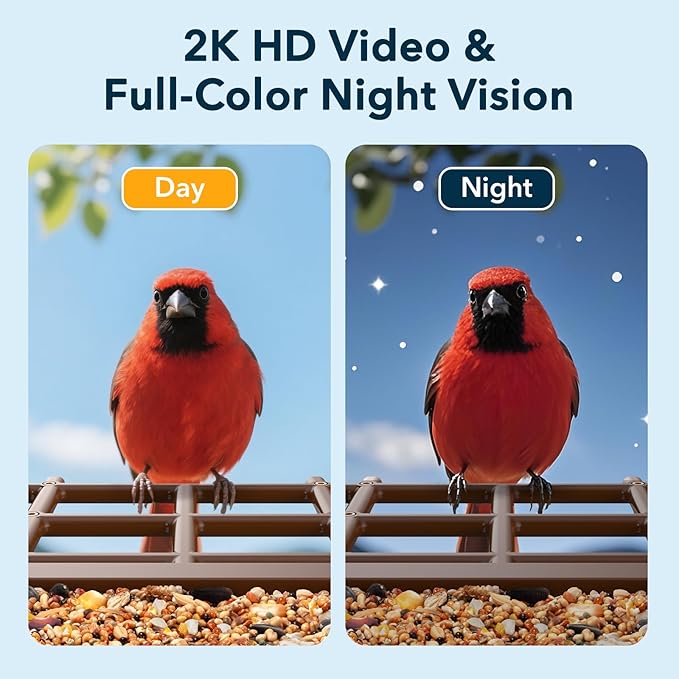 PeckCam® Bird Feeder with Camera Solar Powered, AI Identify & Auto Capture, 2K HD Live Video Smart Bird Feeder Camera Instant Notifications in Backyard, Gift for Bird Lovers