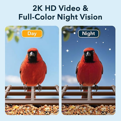 PeckCam® Bird Feeder with Camera Solar Powered, AI Identify & Auto Capture, 2K HD Live Video Smart Bird Feeder Camera Instant Notifications in Backyard, Gift for Bird Lovers