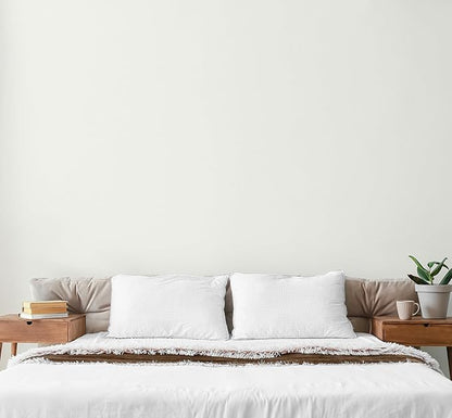 EVOLVE Paint & Primer: Environment-friendly, Eggshell with One-coat Coverage for Interior & Exterior surfaces (Cloud White, 1-Gallon)