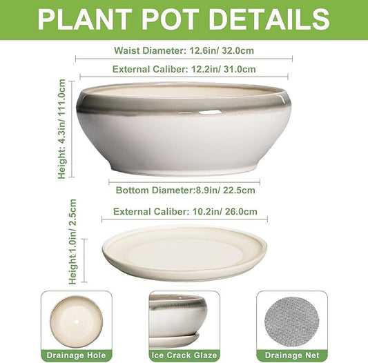 SQOWL Large Succulent Planters - 12 Inch Ceramic Bonsai Pots with Drainage Hole and Saucer, Shallow Round Planter for Indoor Plants, Bowl Planter Outdoor, Living Room Decor, Birthday Gift, Gray-Beige