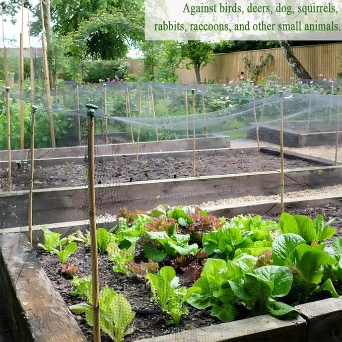 Woven Bird Netting 15X40 FT, 1/2" Mesh, Strong Bird Net Protect Fruit Trees, Blueberry, Vegetables, Strawberry Plants, Garden Netting Pest Barrier, Against Deer, Squirres, Small Critters