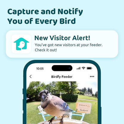 NETVUE by Birdfy Smart Bird Feeder with Camera, Bird Watching Camera, Auto Capture Video & Motion Detection, 1080P Live Steam, Cardinal Feeder Outdoor Wireless, Ideal Present for Backyard Birder, Blue
