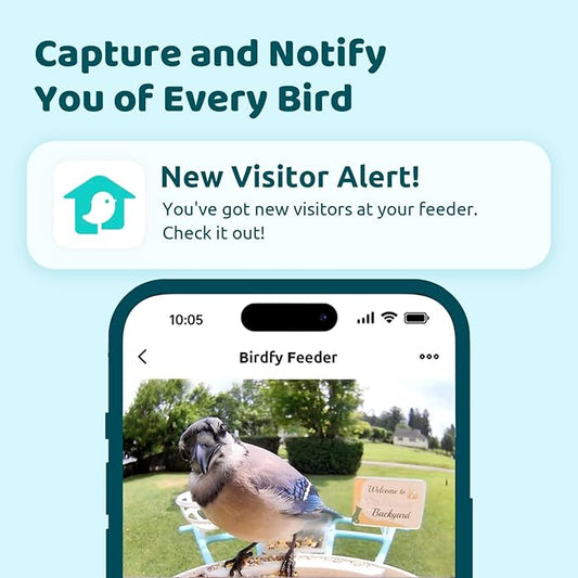 NETVUE by Birdfy Smart Bird Feeder with Camera, Bird Watching Camera, Auto Capture Video & Motion Detection, 1080P Live Steam, Cardinal Feeder Outdoor Wireless, Ideal Present for Backyard Birder, Blue